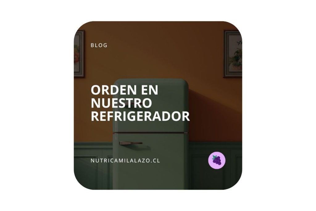 Blog | Orden en Nuestro Refrigerador